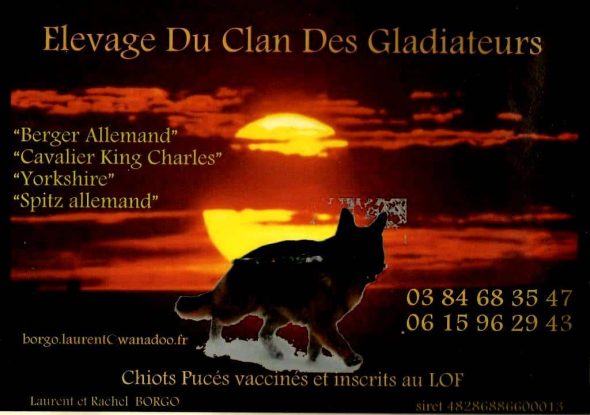 BORGO LAURENT - Image 1