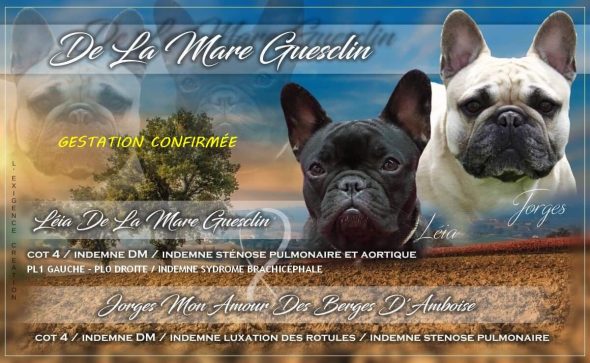 DE LA MARE GUESCLIN - Image 1