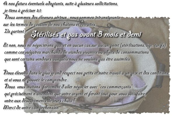 DU CASTEL WALOU - Image 3