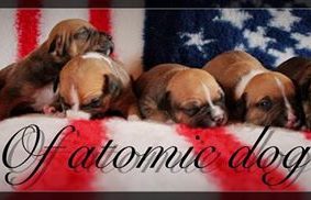 OF ATOMIC DOG