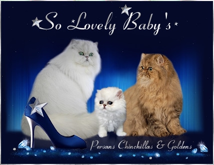 SO LOVELY BABY’S - Image 1