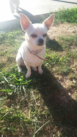 DAUDOU PRISCILLA - Image 13
