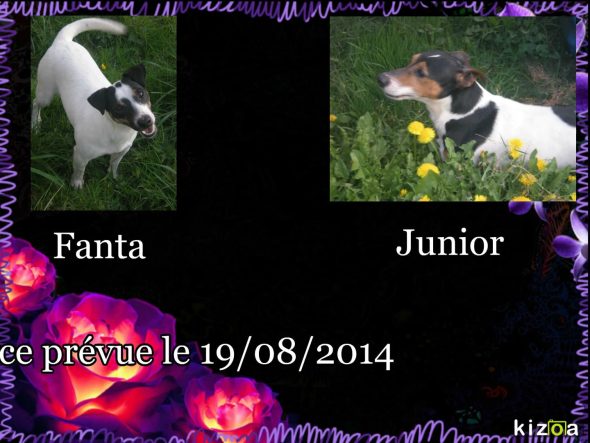 LE ROYAUME D’UBAC - Image 7