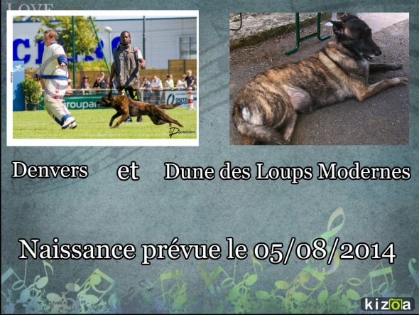 LE ROYAUME D’UBAC - Image 3