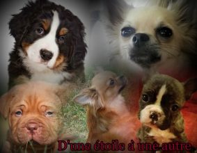 DAUDOU PRISCILLA