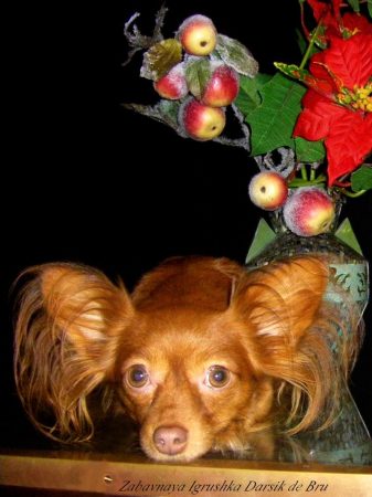 KALINKA STYLE - Image 5